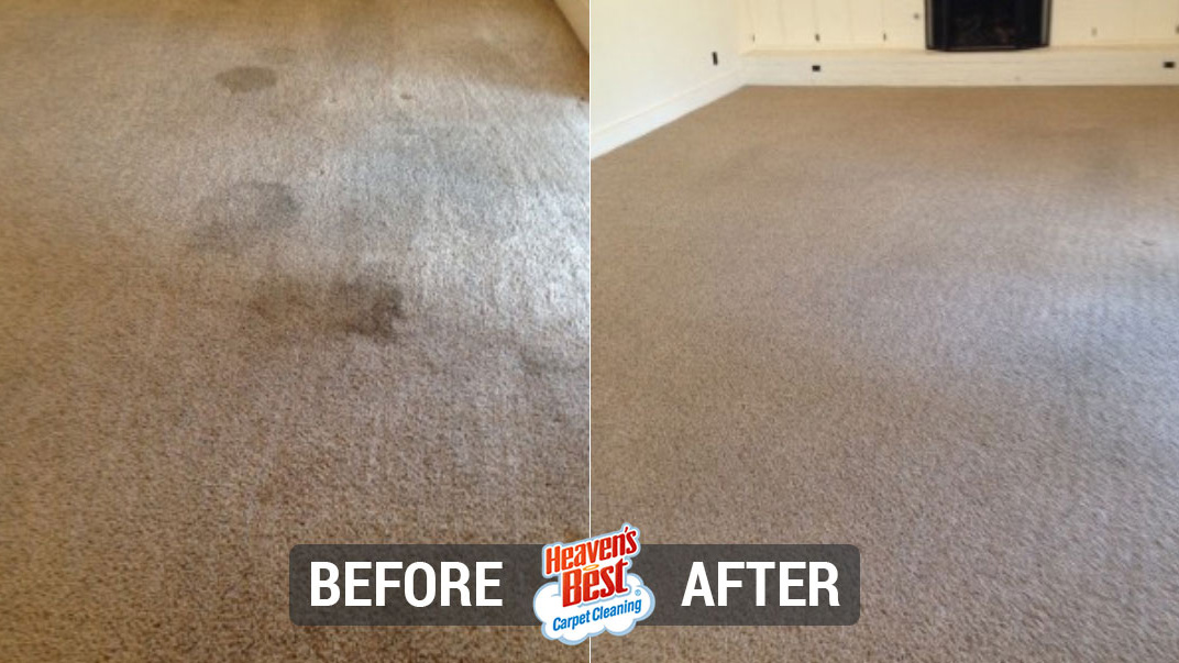 Heaven's Best Carpet Cleaning of Hays County