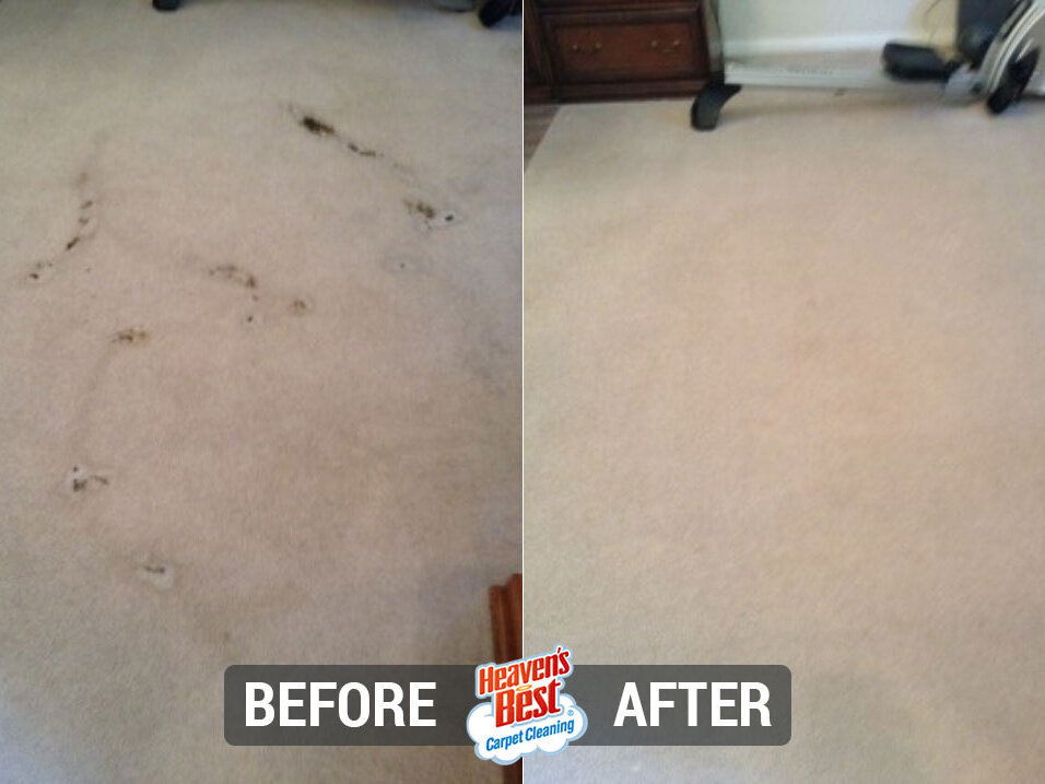 Heaven's Best Carpet Cleaning of Hays County