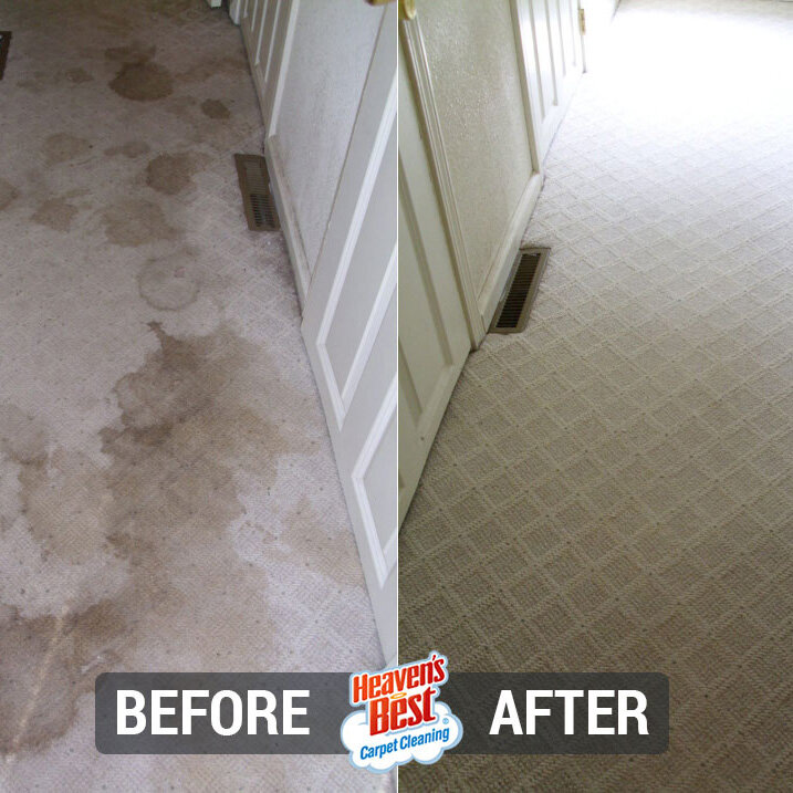 Heaven's Best Carpet Cleaning of Hays County